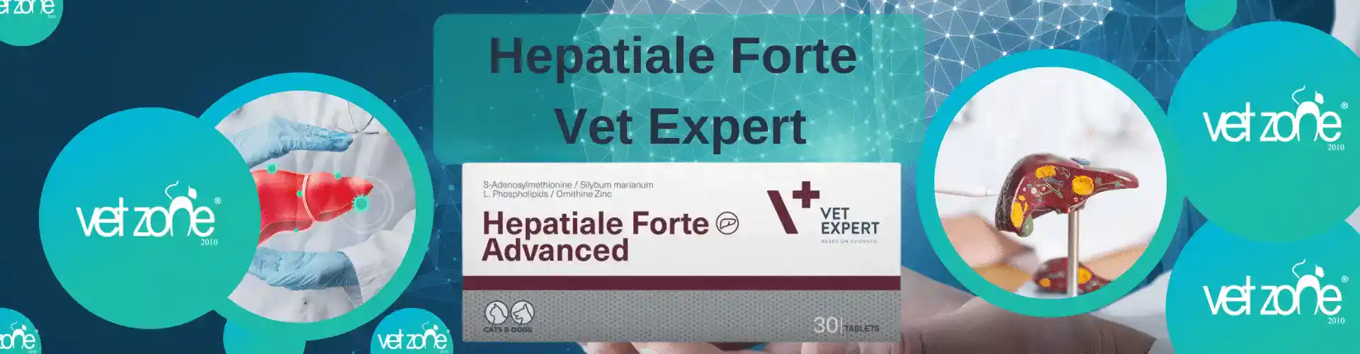 Hepatiale Forte Vet Expert