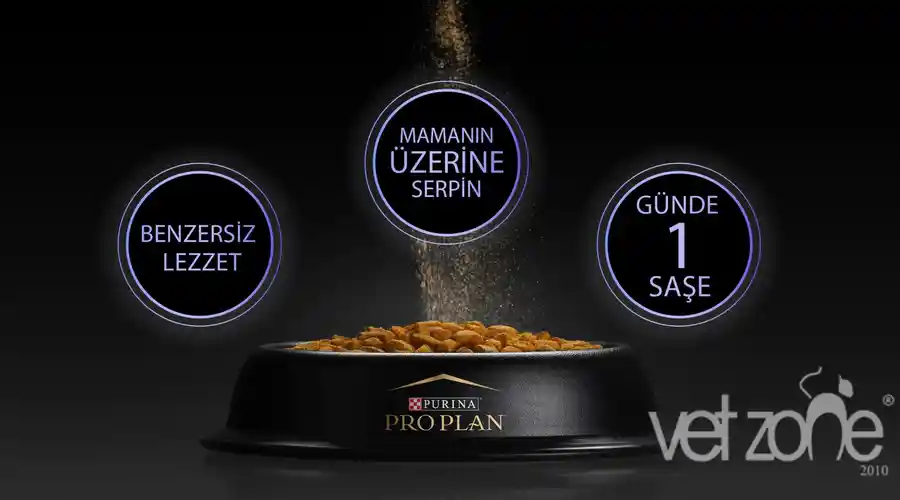 Kedilerde gaz problemi FOTİFLORA PLUS