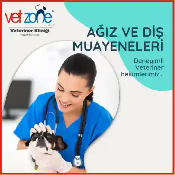 kedi köpek ağız diş muayenesi