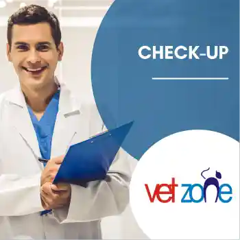 Check-Up Check-Up