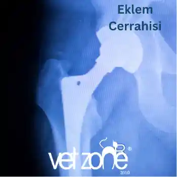 Eklem Cerrahisi Eklem Cerrahisi