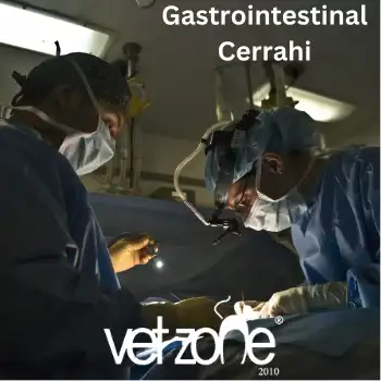 Gastrointestinal-Cerrahi Gastrointestinal Cerrahi