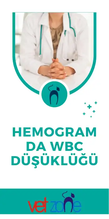 Hemogram-da-WBC-Dusuklug