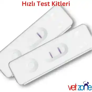 Hizli-Test-Kitleri Hizli-Test-Kitleri