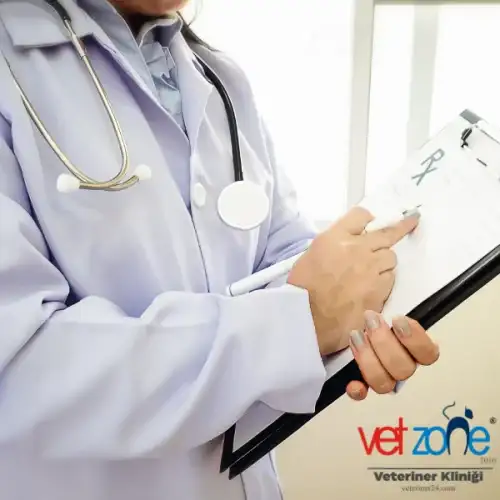Kadıköy veteriner kliniği Vet Zone veteriner hizmetleri
