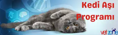 Kedi Aşı Programı