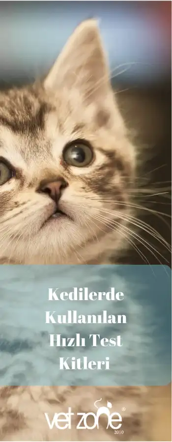 Kedilerde-Kullanilan-Hizli-Test-Kitleri- Hızlı Test Kitleri