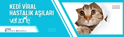 Kedilerde Uygulanan Aşılar Kedilerde Uygulanan Aşılar