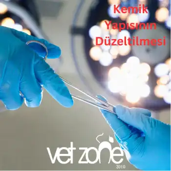 Kemik Yapısının Düzeltilmesi Kemik Yapısının Düzeltilmesi