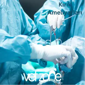 Kırık Ameliyatları Kırık Ameliyatları