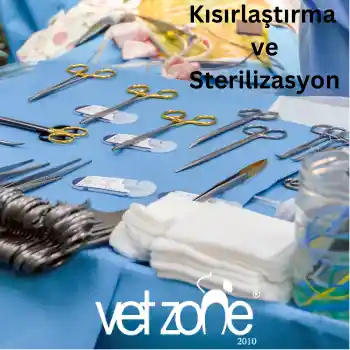 Kisirlastirma-ve-Sterilizasyon Kısırlaştırma ve Sterilizasyon