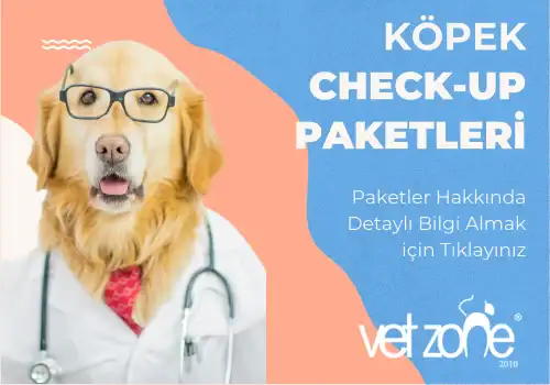 Köpek Check up Paketleri Köpek Check up Paketleri