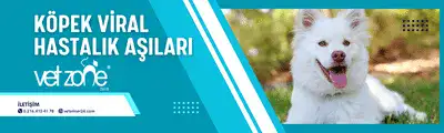 Köpek Viral Hastalık asıları Köpek Viral Hastalık asıları