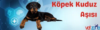 Köpek kuduz Aşısı Köpek kuduz Aşısı