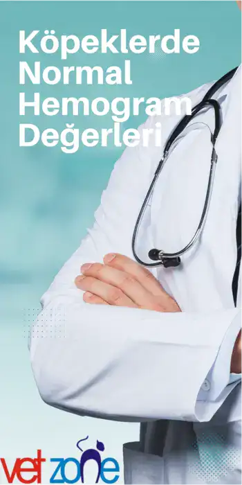 Kopeklerde-Normal-Hemogram-Degerler