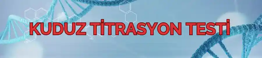 Kuduz Aşısı Titrasyon Testi