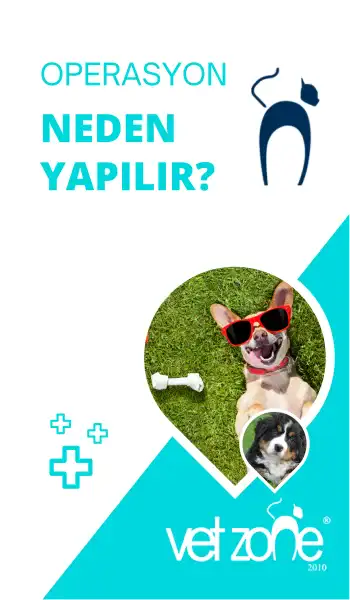 Operasyon-neden-yapilir Operasyon-neden-yapilir