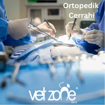 Ortopedik-Cerrahi Ortopedik Cerrahi