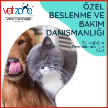 kedi köpek diş sağlığı beslenme