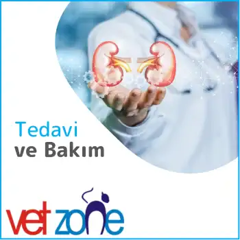 Tedavi ve Bakım Dahiliye Tedavi ve Bakım