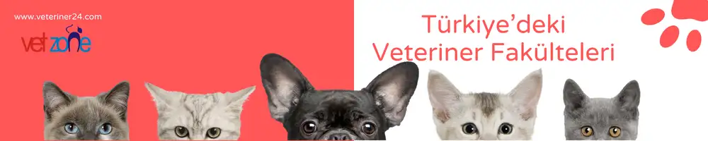 Türkiyedeki veteriner fakülteleri Türkiyedeki veteriner fakülteleri