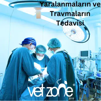 Yaralanmalarin-ve-Travmalarin-Tedavisi Yaralanmaların ve Travmaların Tedavisi