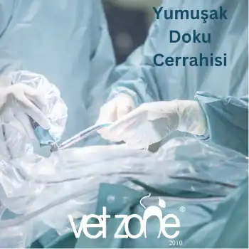 Yumuşak Doku Cerrahisi Yumuşak Doku Cerrahisi