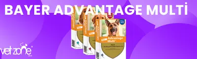 advantagemultikopekdısparazit advantagemultikopekdısparazit
