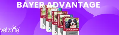 advantixkopekdısparazit advantixkopekdısparazit