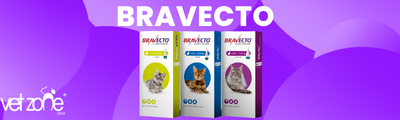 bravecto-kedi-banner