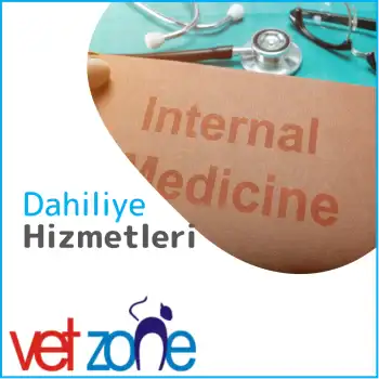 dahiliye-hizmetleri Dahiliye Hizmetleri