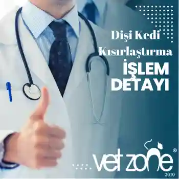 disi-kedi-kisirlastirma-islem-detayi Dişi Kedi Kısırlaştırma