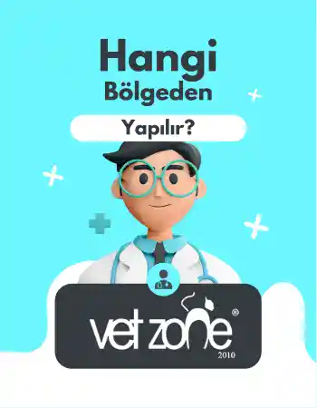 kısırlaştırma ameliyatı hangi bölgeden yapılır