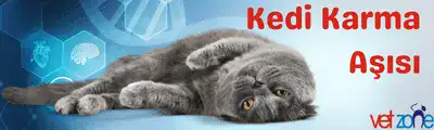 Kedi Karma Aşısı