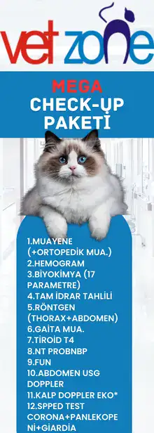 Kedi Mega Check-up Paketi