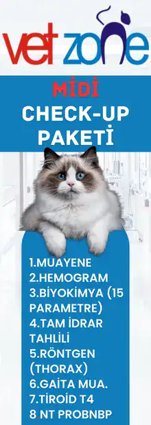 Kedi Midi Check-up Paketi