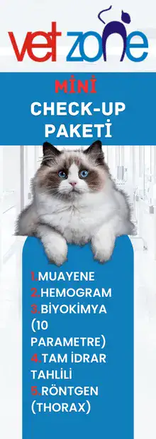 Kedi Mini Check-up Paketi