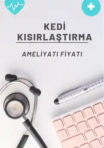 kedi kısırlaştırma ameliyat fiyatı