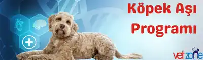 Köpek Aşı Programı