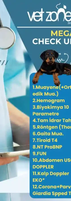 Mega Köpek Check up paketi