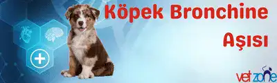köpek bronchine aşısı köpek bronchine aşısı