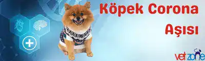 köpek corona asısı Köpek Corona Aşısı