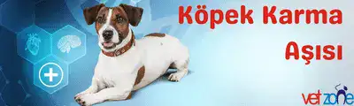 köpek karma aşısı Köpek Karma Aşısı