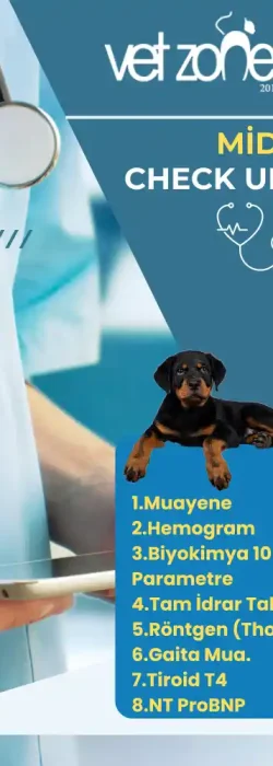 Midi Köpek Check up Paketi