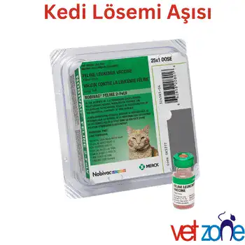 Viral Lösemi Aşısı