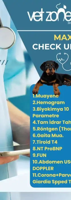 Maxi köpek check up paketi