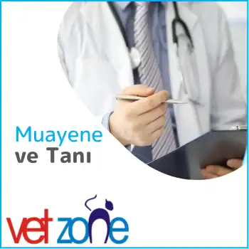 muayene-ve-tani Dahiliye Muayene ve Tanı