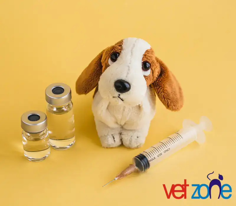 veteriner ası 3 Aşı Programlama
