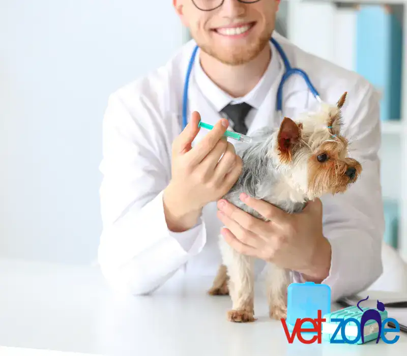 veteriner ası 5 Aşı Programlama