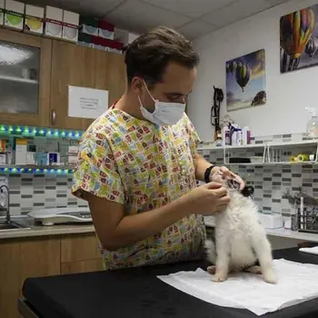 Kadıköy veteriner kliniği Vet Zone - Veteriner Hekim Gürkan Diker